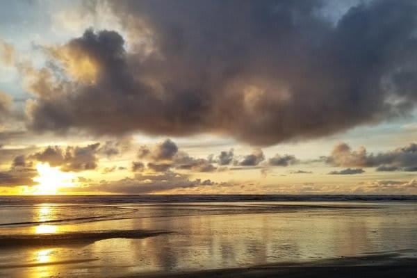 And Surf 2-bed By The Sea W Fireplace * Grayland